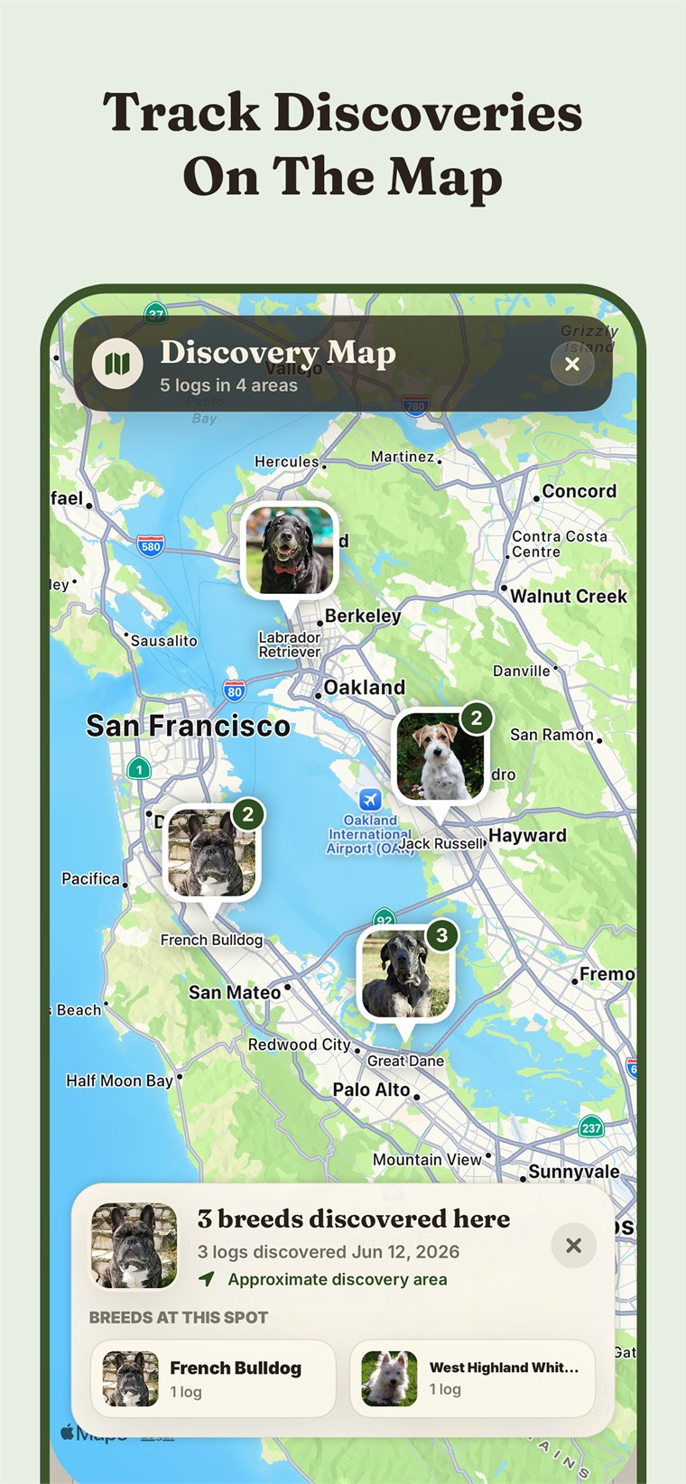 Discovery map screen